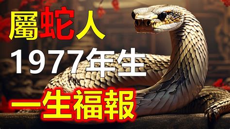 1977年屬什麼生肖|生肖蛇: 性格，愛情，2024運勢，生肖1989，2001，2013